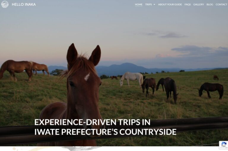 858603d1-0d00-497b-9f53-0a5f2fa9b622